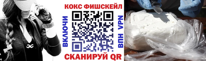COCAIN FishScale  Купить закладки  Касимов 