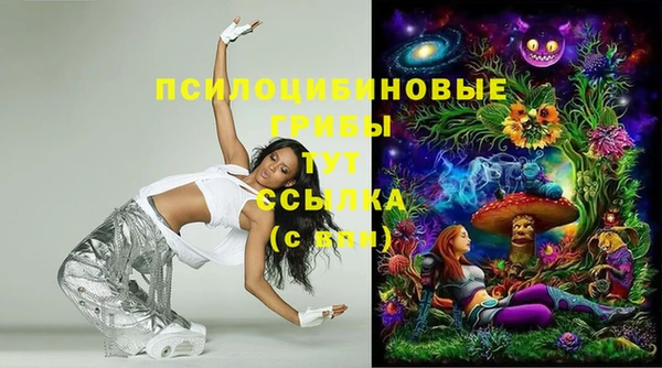 МДПВ Горняк