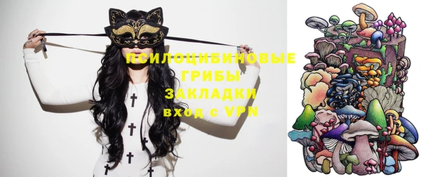 Альфа ПВП Горно-Алтайск