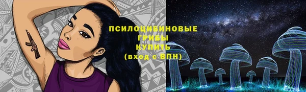 Альфа ПВП Горно-Алтайск