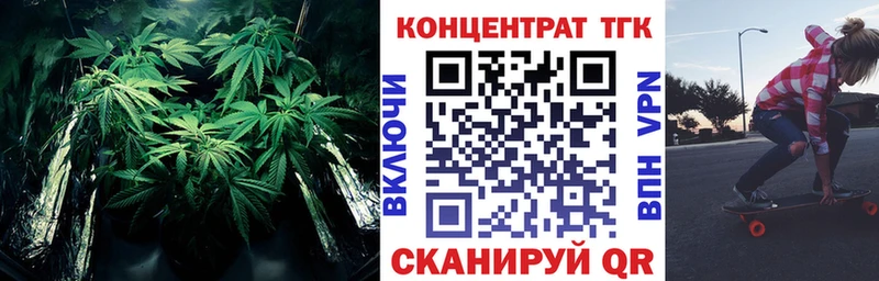 Купить  Касимов  Дистиллят ТГК Wax 